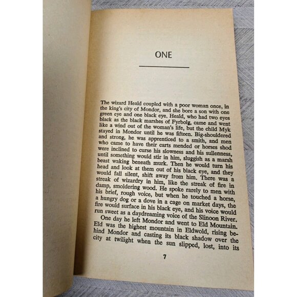 The Forgotten Beasts of Eld Patricia A. McKillip Paperback Avon 1974 Vintage - Picture 8 of 9